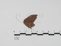 登錄號:F0015526藏品圖，第1張