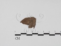 登錄號:F0015526藏品圖，第3張