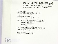 登錄號:F0015527藏品圖，第2張