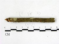 登錄號:F0015529藏品圖，第3張