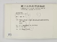 登錄號:F0015530藏品圖，第2張