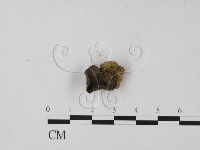 登錄號:F0015530藏品圖，第1張