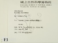 登錄號:F0015531藏品圖，第2張