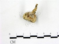登錄號:F0015534藏品圖，第3張
