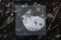 登錄號:F0015534藏品圖，第5張