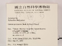 登錄號:F0015535藏品圖，第2張