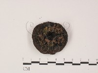 登錄號:F0015535藏品圖，第3張