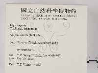 登錄號:F0015536藏品圖，第2張