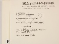 登錄號:F0015538藏品圖，第2張