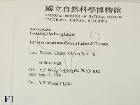 登錄號:F0015539藏品圖，第2張