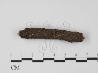 登錄號:F0015539藏品圖，第3張