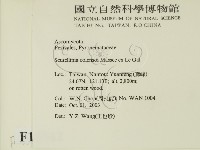 登錄號:F0015542藏品圖，第2張