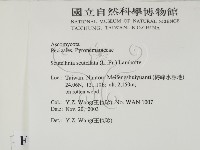 登錄號:F0015545藏品圖，第2張