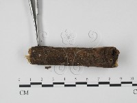 登錄號:F0015546藏品圖，第3張
