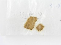 登錄號:F0015548藏品圖，第3張