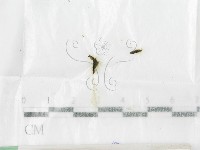 登錄號:F0015549藏品圖，第1張