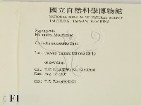登錄號:F0015552藏品圖，第2張