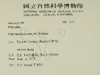 登錄號:F0015553藏品圖，第2張
