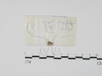登錄號:F0015553藏品圖，第1張