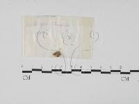 登錄號:F0015553藏品圖，第3張