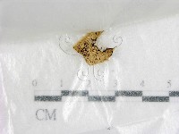 登錄號:F0015554藏品圖，第1張