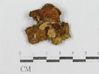 登錄號:F0015556藏品圖，第1張