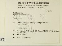 登錄號:F0015557藏品圖，第2張