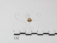 登錄號:F0015557藏品圖，第3張