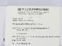 相鄰小孔菌藏品圖，第2張