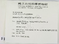 相鄰小孔菌藏品圖，第2張