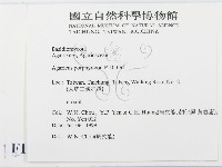 登錄號:F0015564藏品圖，第2張