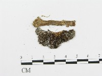 登錄號:F0015564藏品圖，第1張