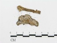 登錄號:F0015564藏品圖，第3張