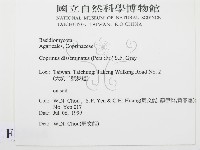 登錄號:F0015568藏品圖，第2張