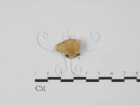 登錄號:F0015569藏品圖，第3張