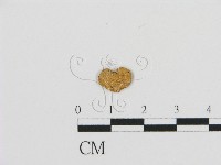 登錄號:F0015571藏品圖，第1張