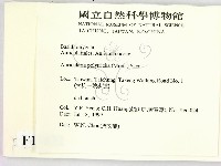 毛木耳藏品圖，第2張