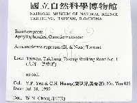 登錄號:F0015573藏品圖，第2張