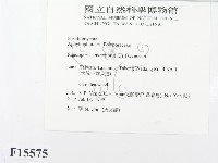 登錄號:F0015575藏品圖，第2張