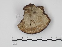 登錄號:F0015576藏品圖，第3張