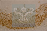 登錄號:F0015576藏品圖，第6張