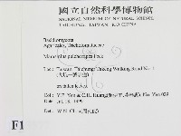 登錄號:F0015577藏品圖，第2張
