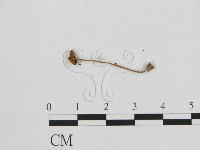 登錄號:F0015577藏品圖，第3張