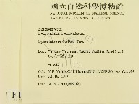 登錄號:F0015578藏品圖，第2張