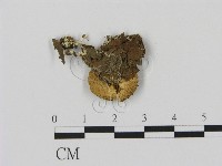 登錄號:F0015578藏品圖，第3張