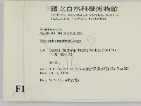登錄號:F0015579藏品圖，第2張