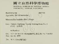 登錄號:F0015580藏品圖，第2張