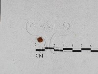 登錄號:F0015580藏品圖，第3張