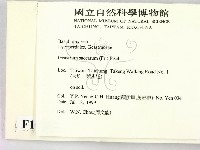 登錄號:F0015581藏品圖，第2張