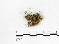 登錄號:F0015581藏品圖，第3張